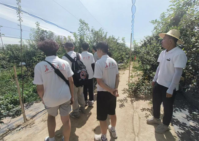 實踐總結|長安大學赴陜西延安“研蘋果之紅彤，析鄉村之