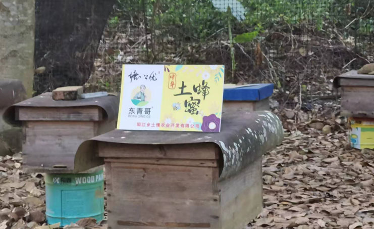 深入鄉村探蜜源，采訪調研促營銷