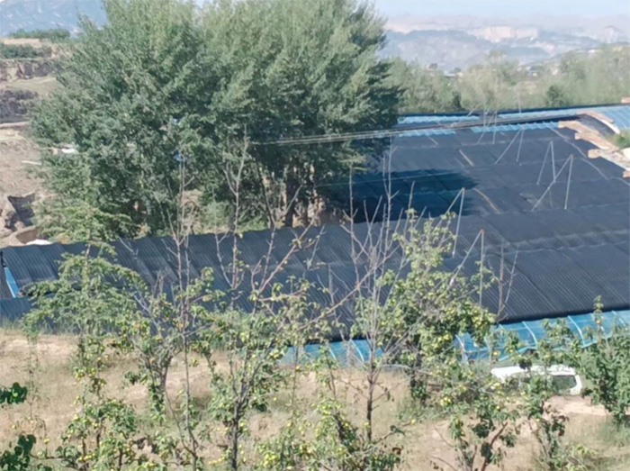 河工大學子返鄉記：走進田地里，“種出幸?！眮?></a></li></ul>
<ul class=