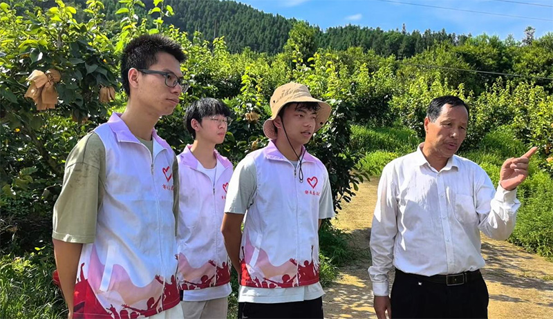 大學生開發小程序，讓大山里的“土特產”銷往全國