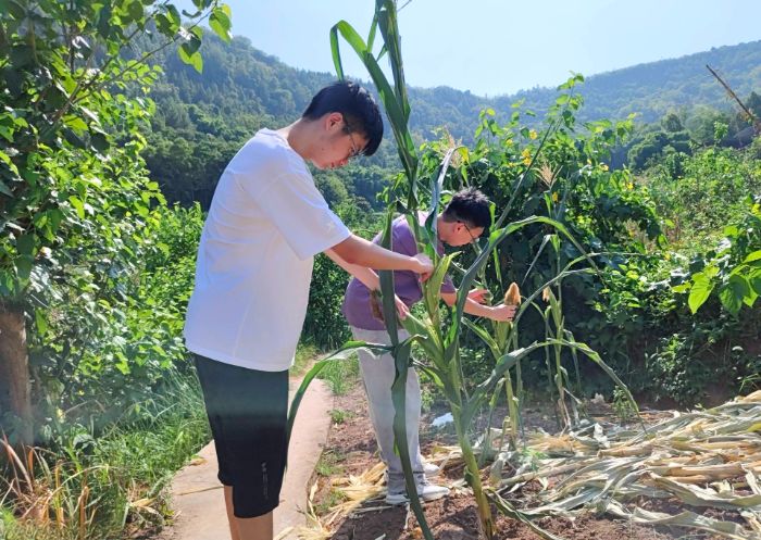 逐夢志行云陽間，青春服務暖基層