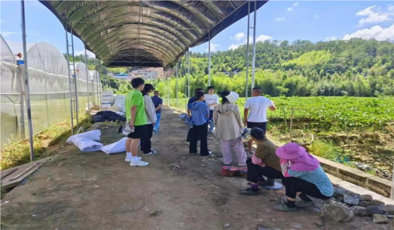 情系百香果，共筑夢想園
