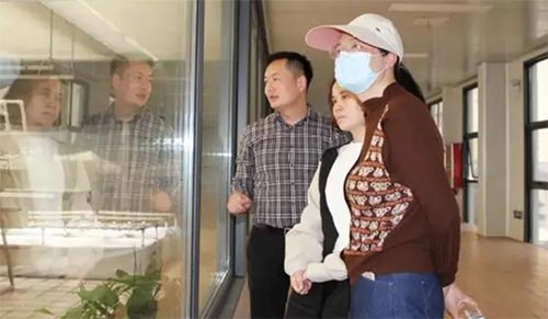 探秘“豆”文化——鄭州市金水區四月天小學社會實踐活