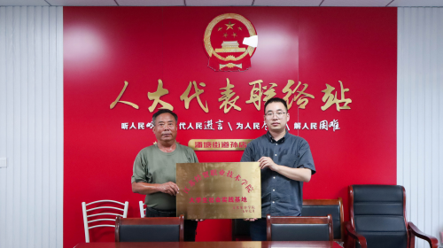 【三下鄉】文旅融合探鄉韻，實踐創新助興農