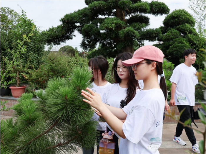 聚焦成都世園會(huì)溫江分會(huì)場，賦能非遺盆景產(chǎn)業(yè)發(fā)展