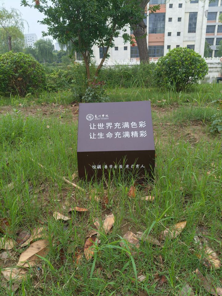 巢湖學(xué)院學(xué)子三下鄉(xiāng)實(shí)踐感悟：走不通的路，就用拳頭來打開
