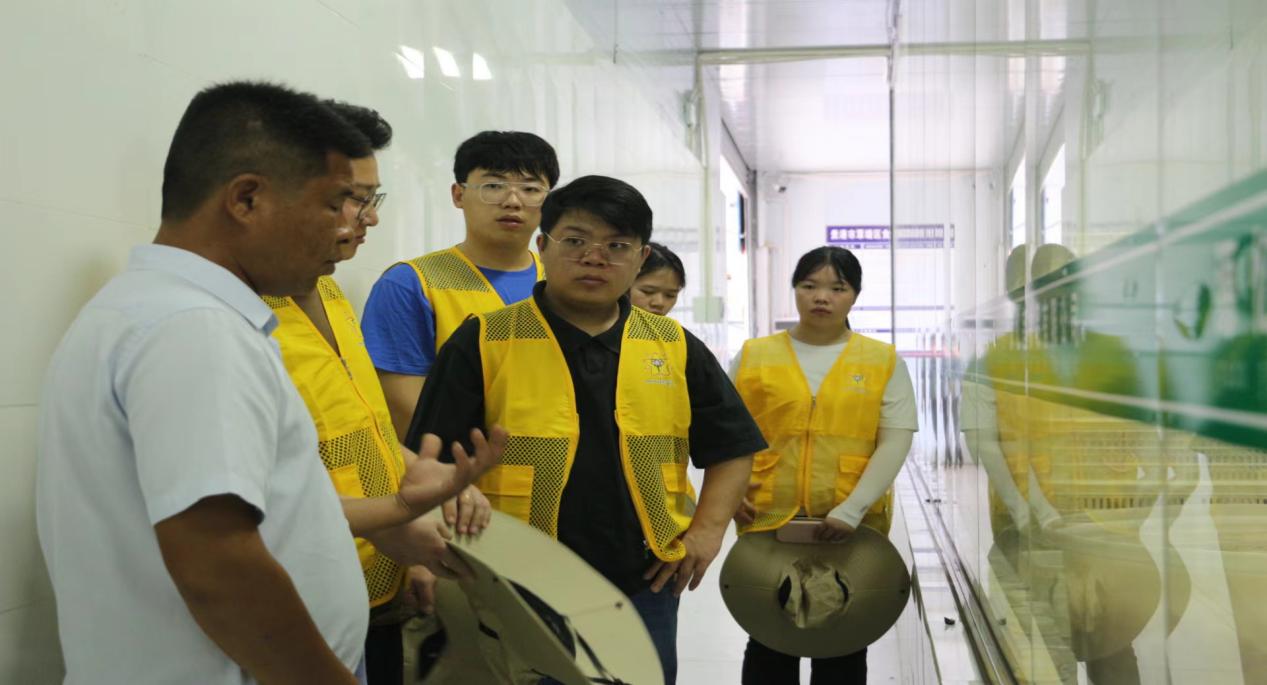 “展貴港風韻，傳民族文化”微光志愿行社會實踐總結