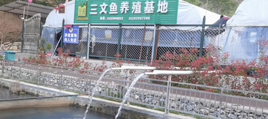 塑造甘南“特色品牌”，擴寬群眾增收大道。